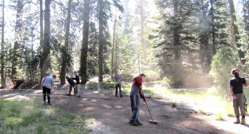 a group of outward bound students use tools to complete trail maintenance 